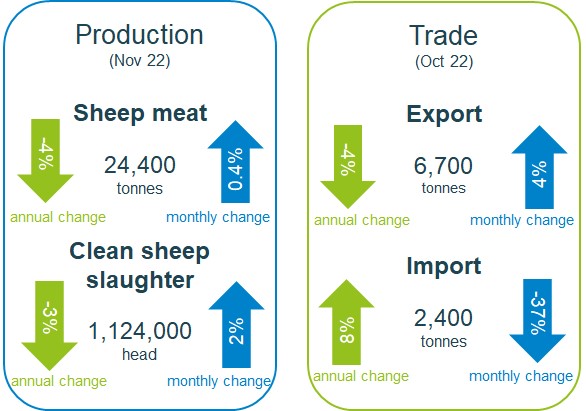 Infographic of sheep production and trade
